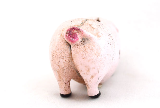 Portland_pig